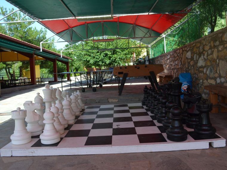 Σκάκι - Πινγκ Πονγκ